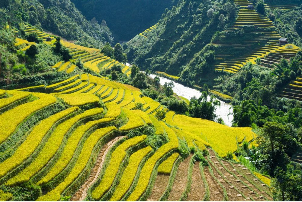 Tour 3 ngày 2 đêm khám phá Sapa