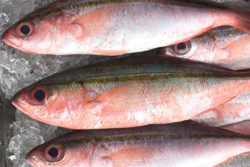 Chả cá đỏ củ Lý Sơn