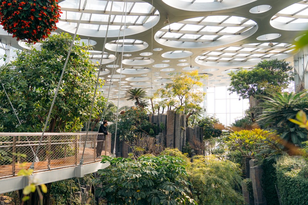 Shanghai Itinerary for First Timers - Visitor at Shanghai Greenhouse Garden at Shanghai World Expo Cultural Park