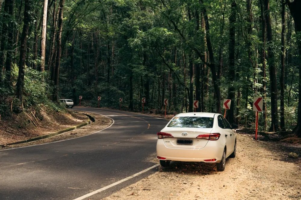 Car in bohol (Source: The Boholana)