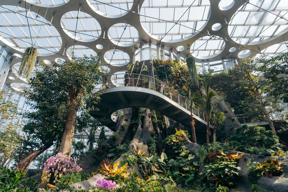 Shanghai Itinerary for First Timers - Shanghai Greenhouse Garden at Shanghai World Expo Cultural Park