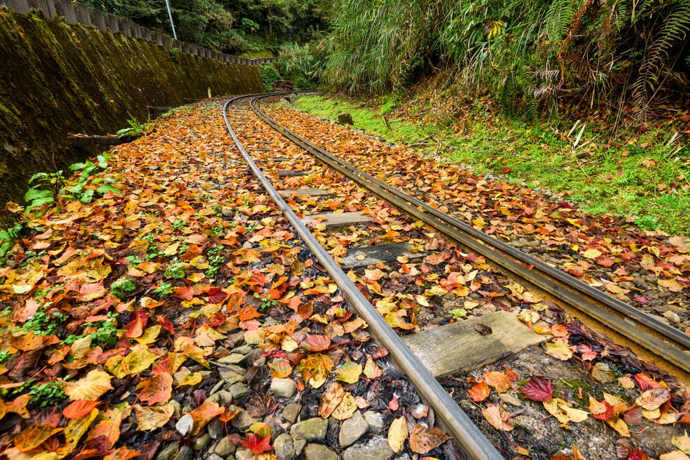 Du Lịch Chiayi Đài Loan Mùa Nào Đẹp Nhất?