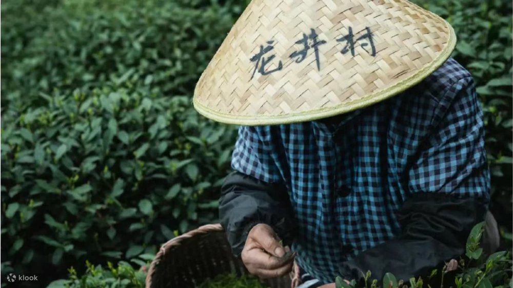 Ngày 3: Tô Châu Đi Hàng Châu - Tây Hồ, Đồi Trà Long Tỉnh