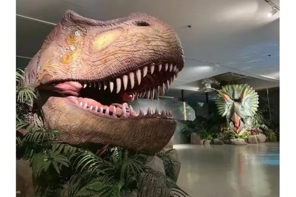 #25 海洋堂趣味樂園