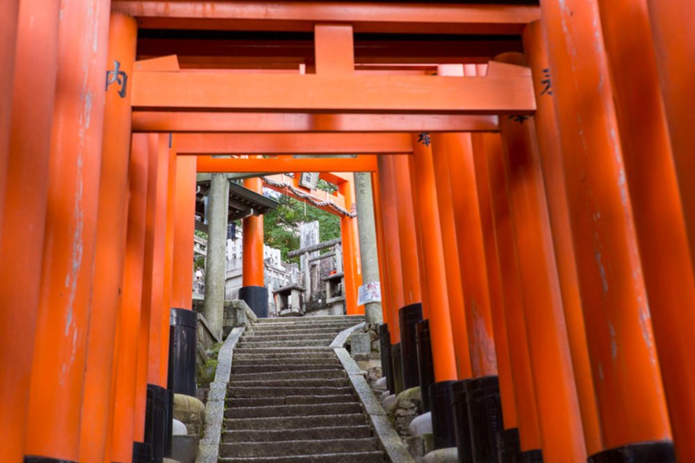 伏見稻荷大社千本鳥居