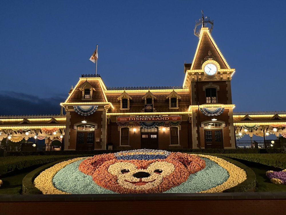 香港ディズニーランド Duffy and Friends Play Daysに今年も参加！　ダッフィー　夜　花壇