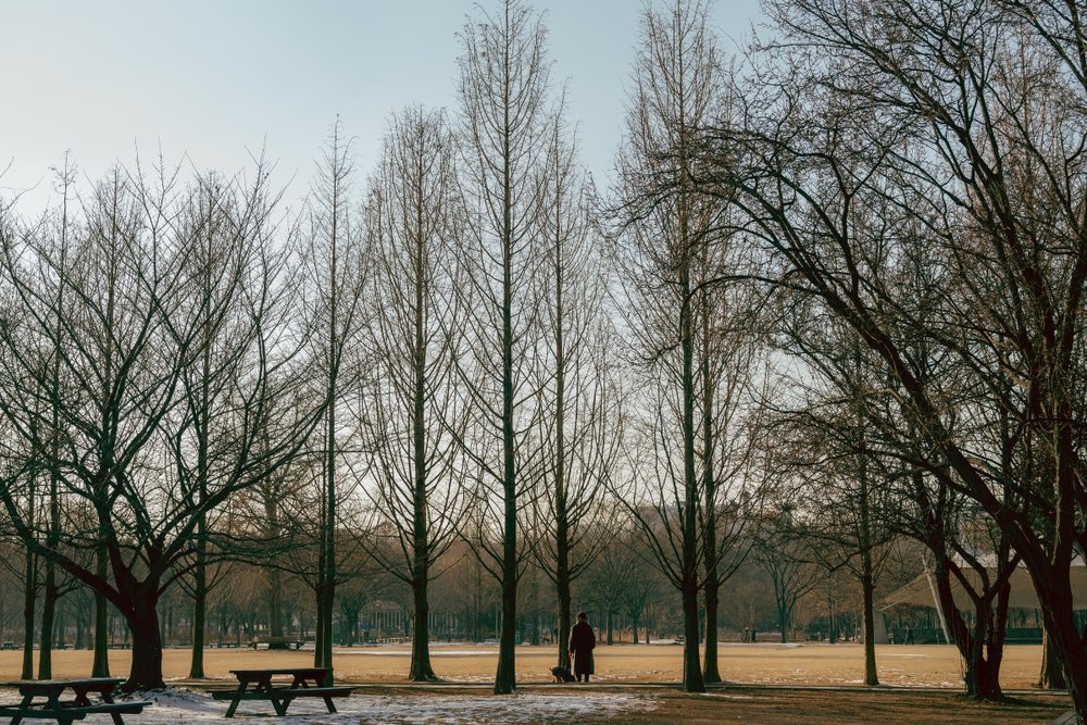 phong-canh-han-quoc-seoul