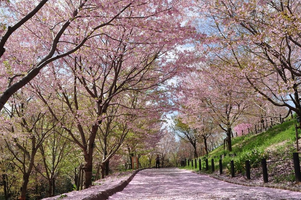 Sở Thú Higashiyama - Điểm Đến Lý Tưởng Cho Cả Gia Đình