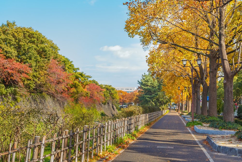 Du Lịch Nagoya Mùa Nào Thích Hợp?