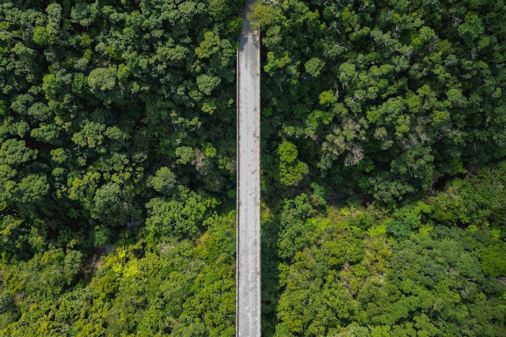 Công Viên Quốc Gia Yanbaru - Khu rừng nguyên sinh cuối cùng của Nhật Bản