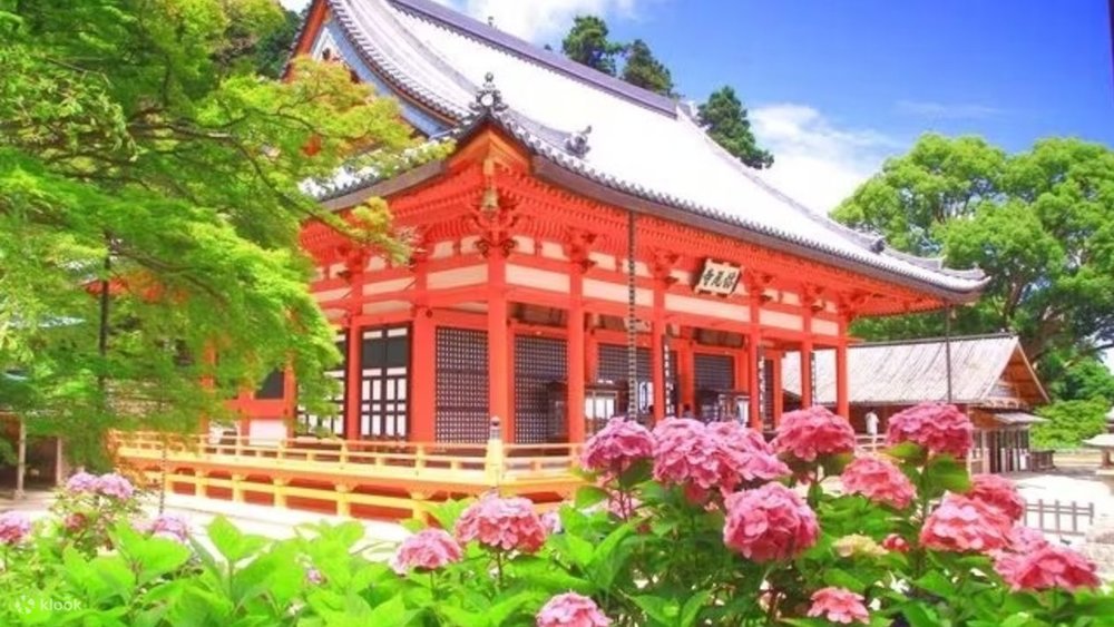 勝尾寺 大阪 大阪勝尾寺 勝尾寺一日遊 大阪勝尾寺景點推薦 勝尾寺達摩不倒翁