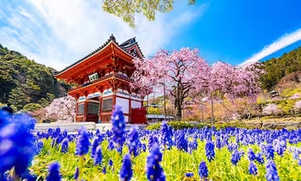 勝尾寺 大阪 大阪勝尾寺 勝尾寺一日遊 大阪勝尾寺景點推薦 勝尾寺達摩不倒翁