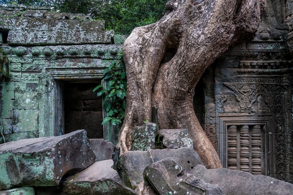 Đền Ta Prohm - Ngôi Đền Bao Phủ Bởi Rễ Cây Kỳ Dị 