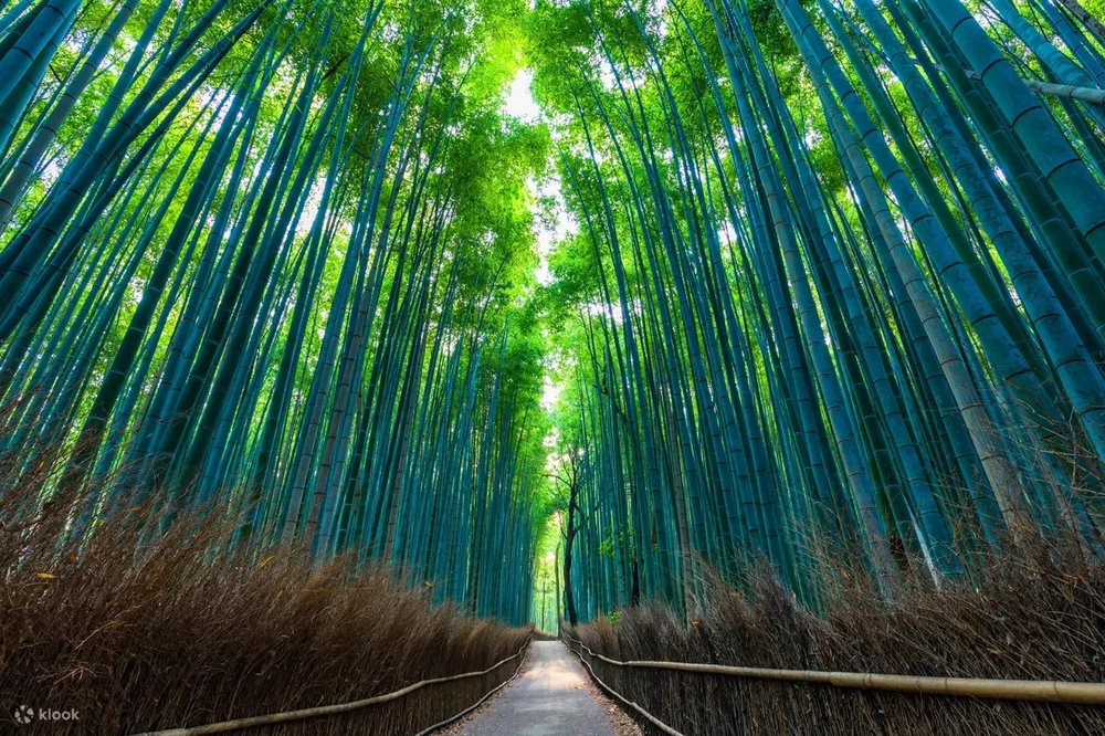 osaka-kobe-kyoto-nara