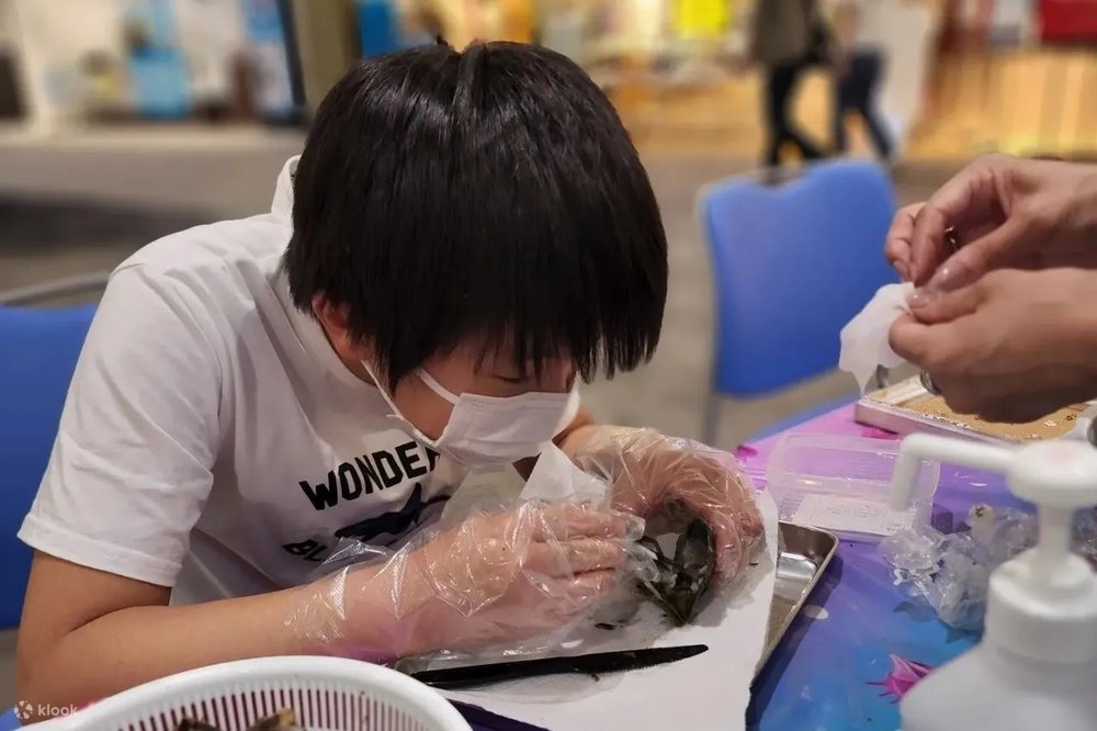 coral dyed product in shuri ryusen