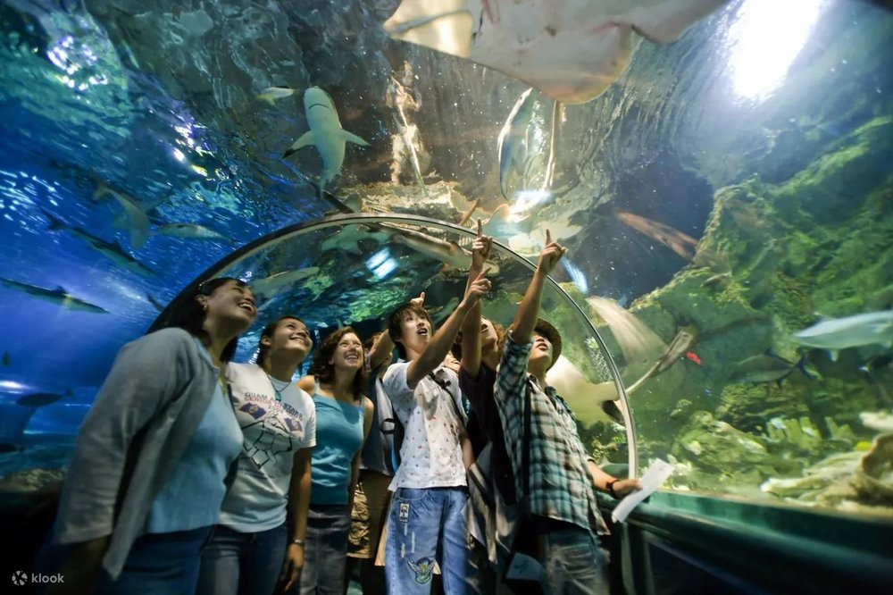 Thủy Cung Aquarium of the Bay Ở San Francisco