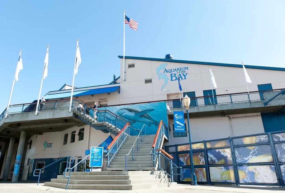 Thủy Cung Aquarium of the Bay Ở San Francisco