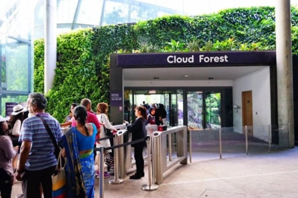 Cloud Forest
