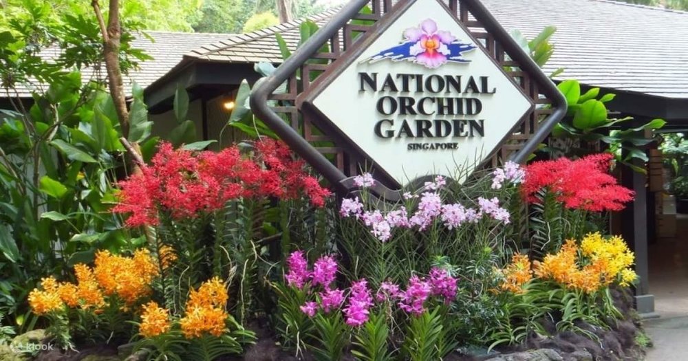 Giới Thiệu Vườn Lan Quốc Gia Singapore​ 