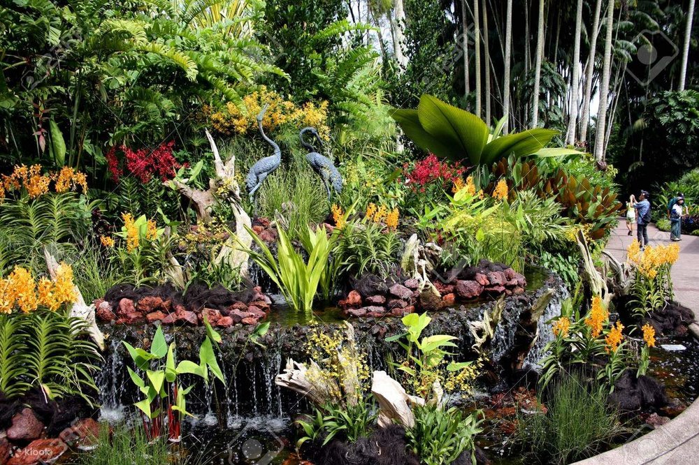 Giới Thiệu Vườn Lan Quốc Gia Singapore​ 