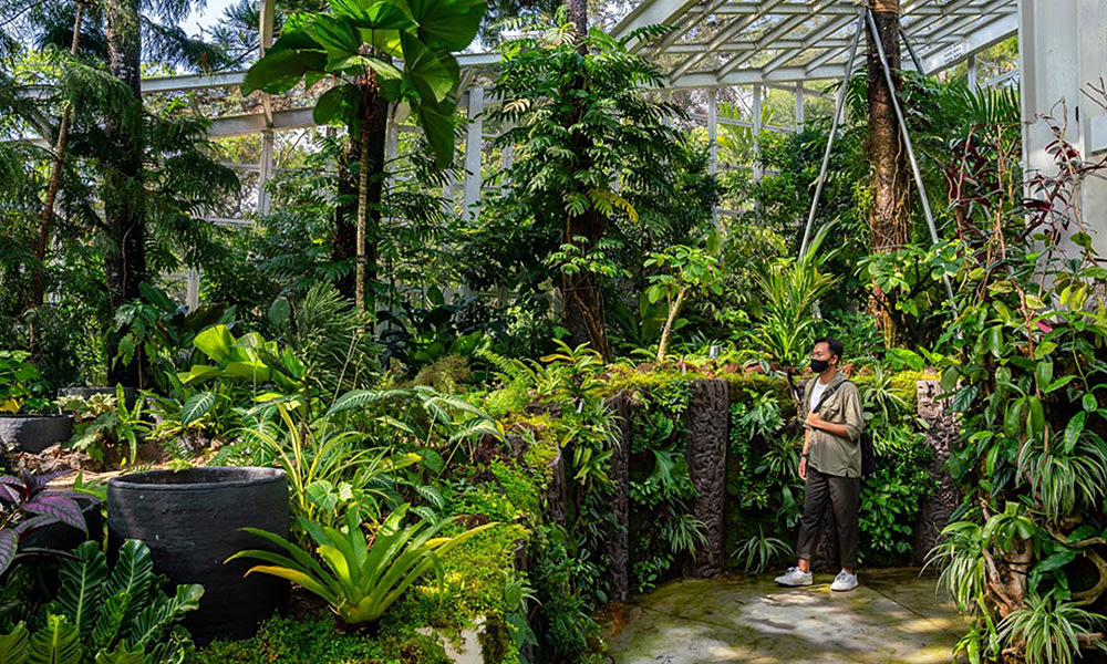 Hội Trường Burkill