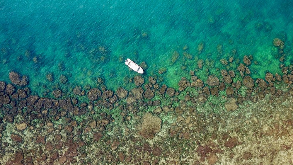 三亞自由行 西島珊瑚海