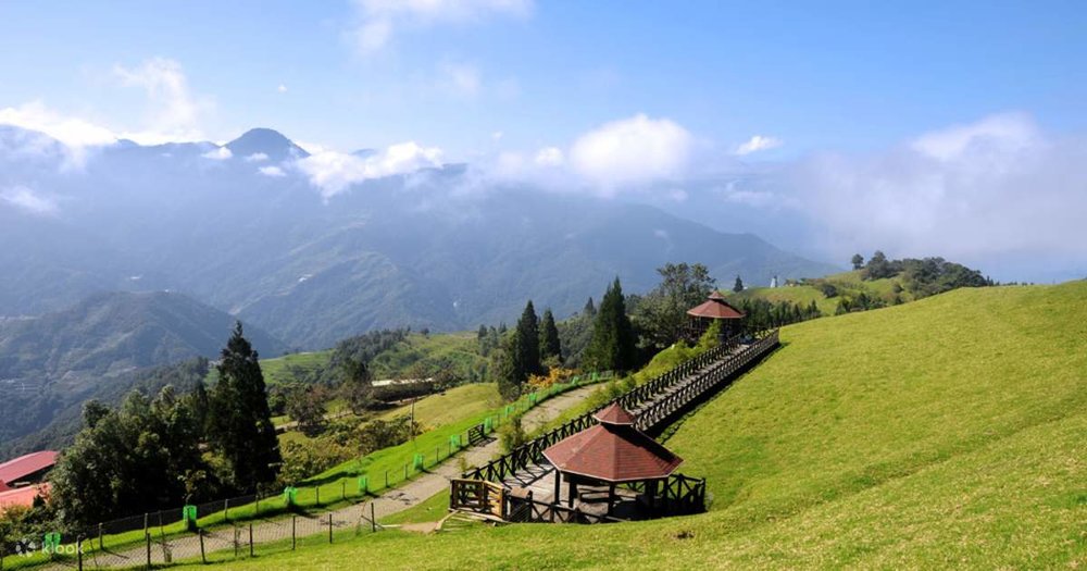 Nông Trại Cingjing