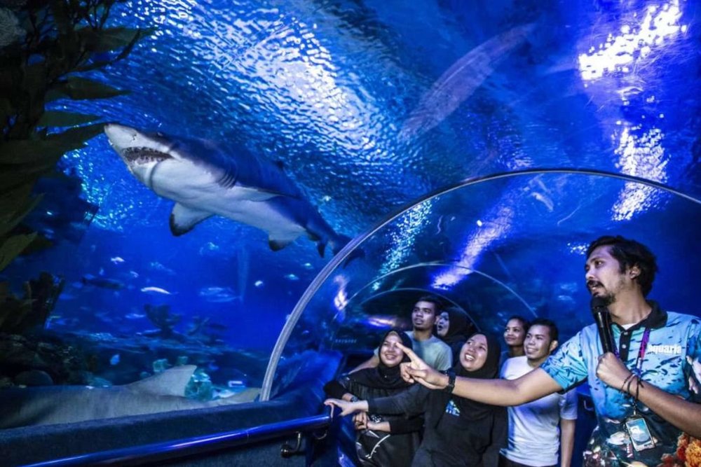 Thủy Cung Aquaria KLCC - Đại Dương Thu Nhỏ Ở Kuala Lumpur  