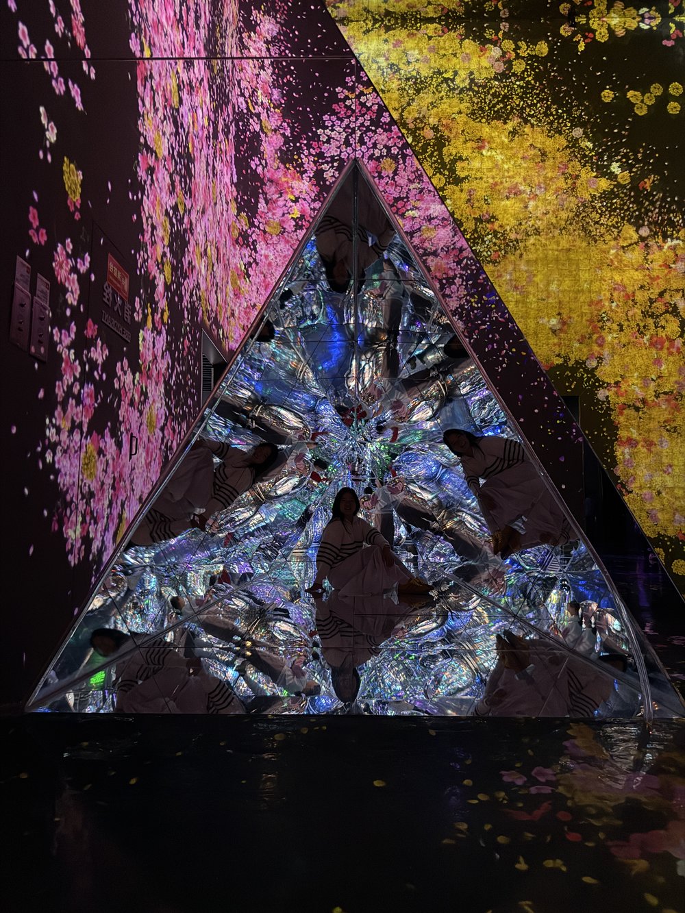 ปักกิ่ง EPSON teamLab Massless Art Space (Beijing EPSON teamLab Massless Art Space)