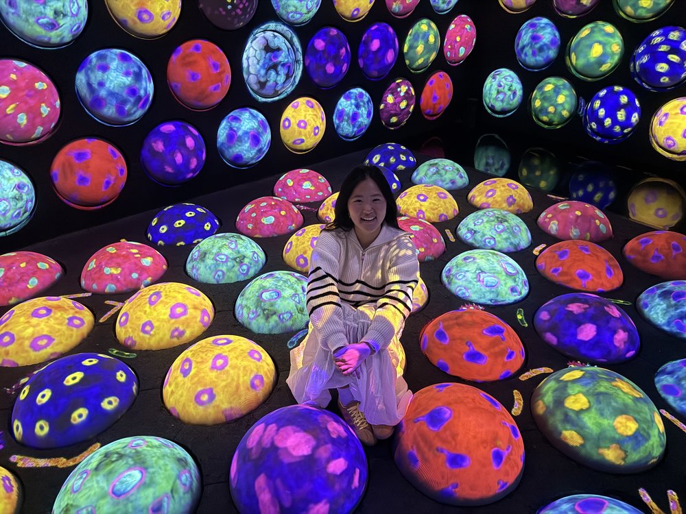 ปักกิ่ง EPSON teamLab Massless Art Space (Beijing EPSON teamLab Massless Art Space)