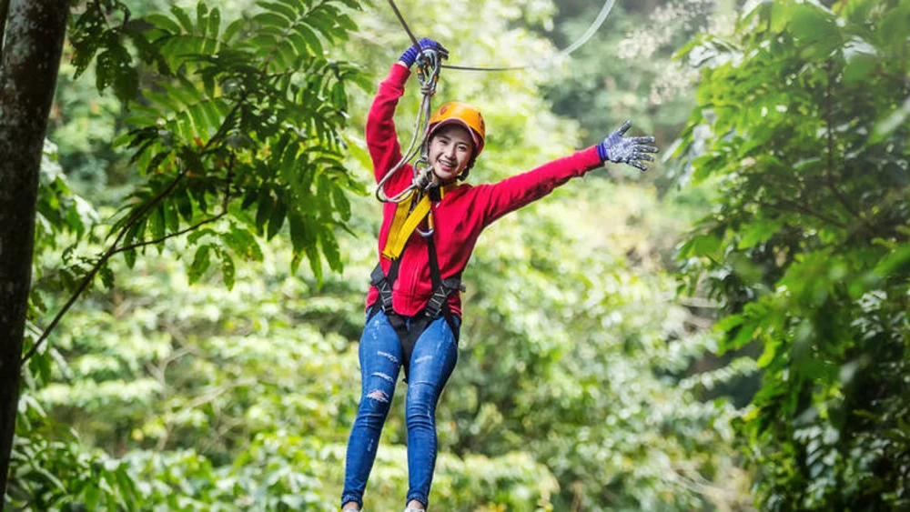 Noah's Ark Hong Kong – Khám Phá Kỳ Quan Huyền Thoại Đầy Mê Hoặc