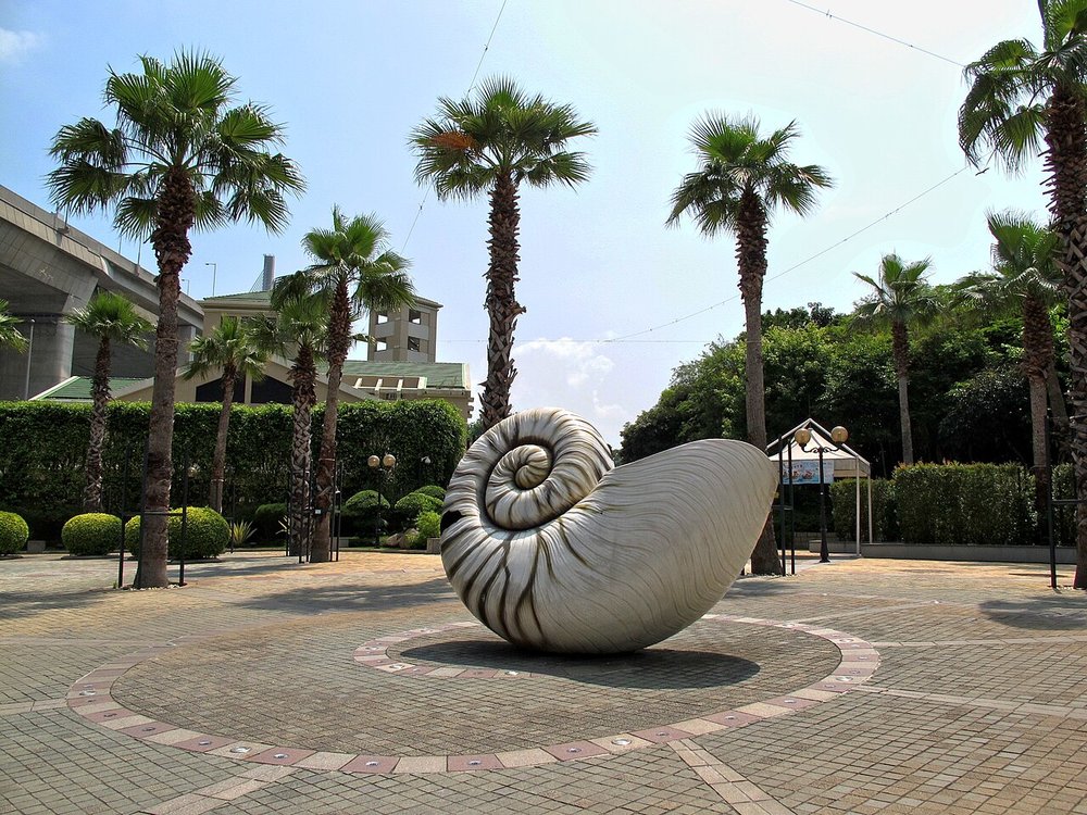 Day and Night Eco Adventure