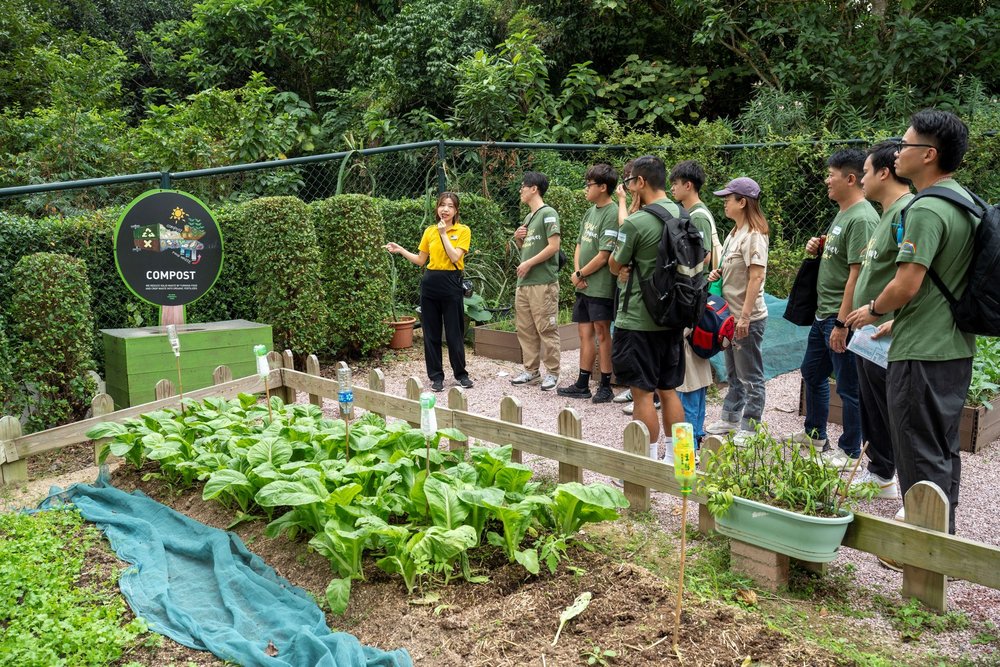 Noah’s Organic Farm (Khu Vườn Hữu Cơ) 