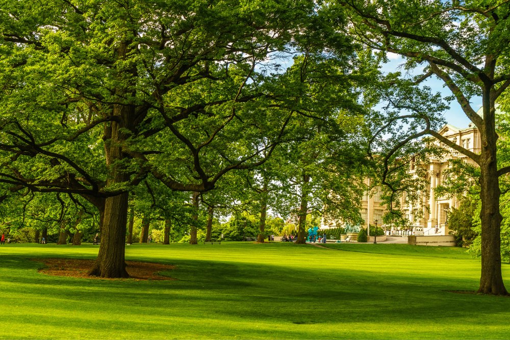 Vườn Bách Thảo New York - Thiên Đường Thực Vật Giữa Lòng Thành Phố