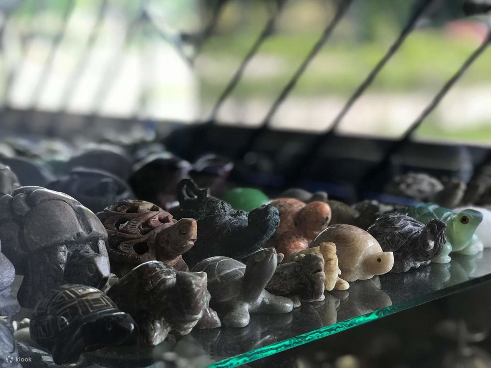  Mua Sắm Quà Lưu Niệm Hình Rùa 