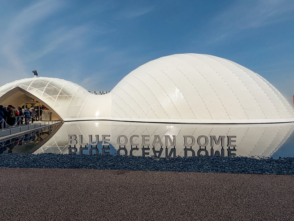 Osaka Expo 2025 Visitors Guide - Blue Ocen Dome