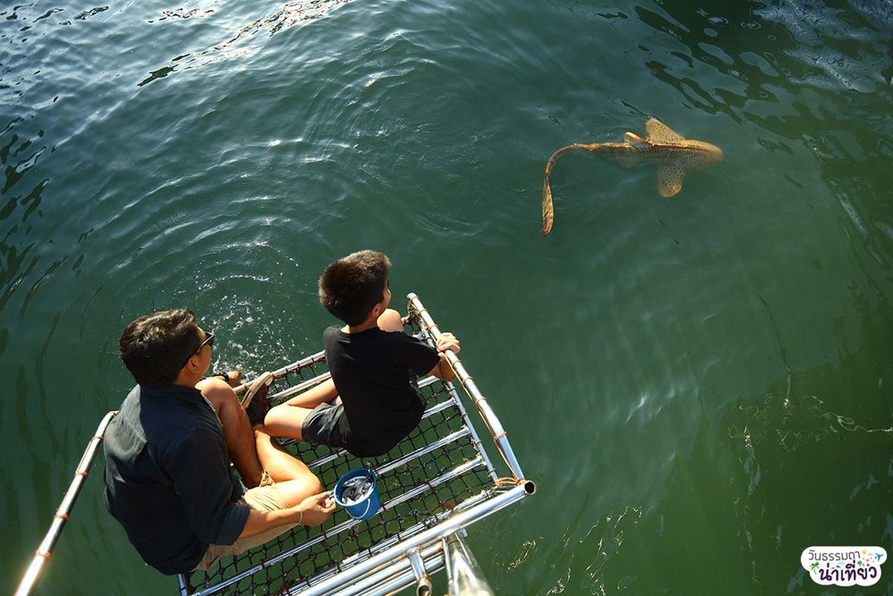 อ่าวคุ้งกระเบน