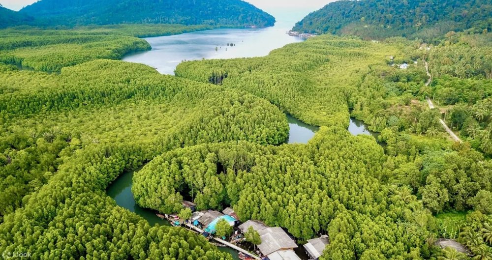 คายัคเกาะช้าง