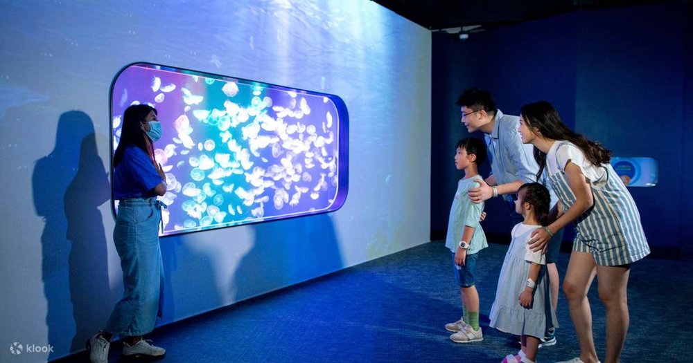 Jellyfish Laboratory