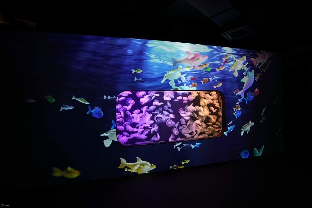  Acrylic Window Projection