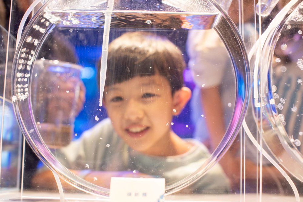 Tham Gia Khóa Học Giáo Dục STEM Về Bảo Tồn Biển