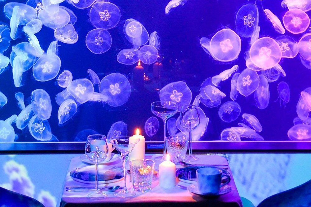 Thưởng Thức Món Ăn Chuẩn 5 Sao Tại Cube O Cafe