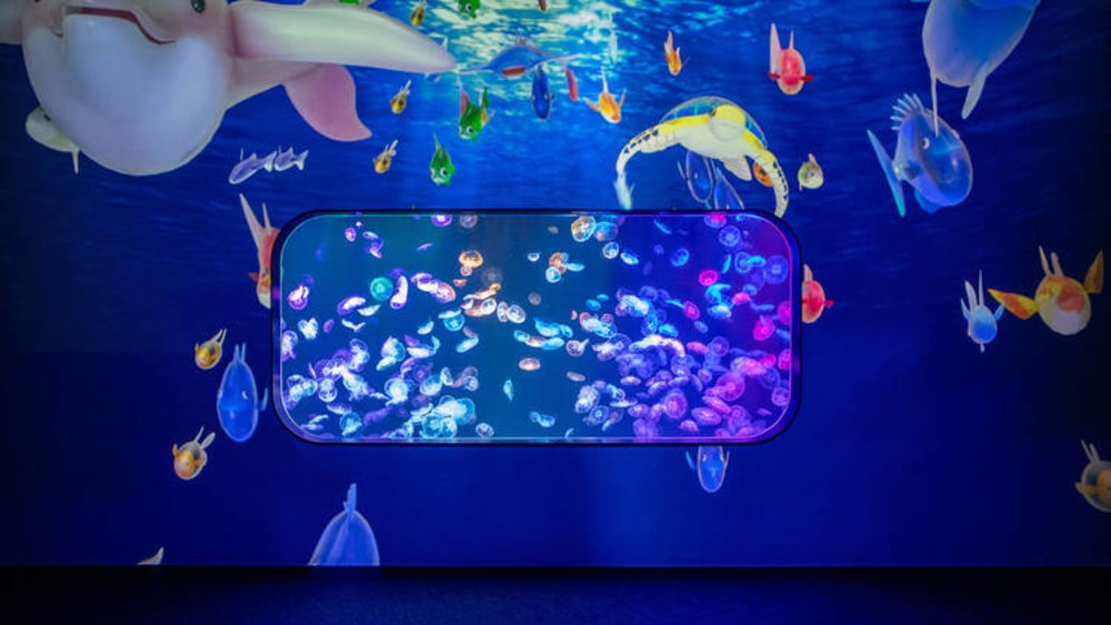 Hướng Dẫn Di Chuyển Đến Công Viên Cube O