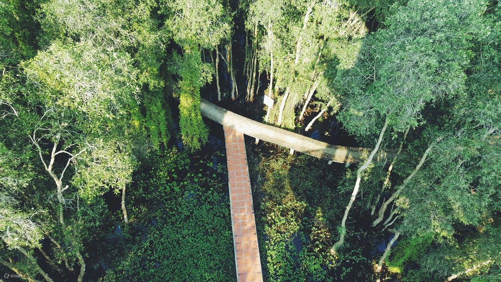 Cách Đi Làng Nổi Tân Lập Từ Thành Phố Hồ Chí Minh