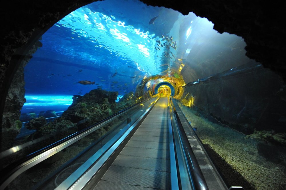 Bảo Tàng Sinh Vật Biển Và Thủy Cung Quốc Gia