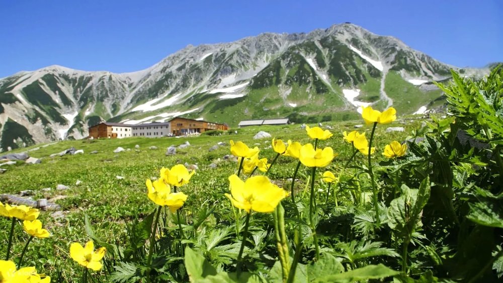Tateyama Alpine Route Guide