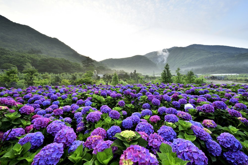 Công Viên Quốc Gia Dương Minh Sơn 