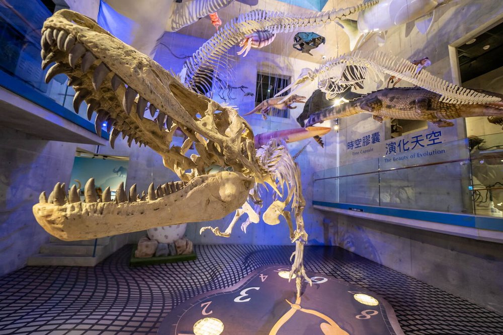 Công Viên Hóa Thạch Zuojhen Đài Nam 
