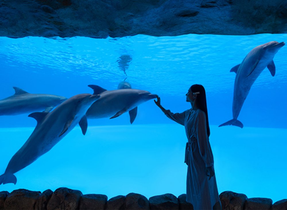 珠海長隆橫琴灣酒店