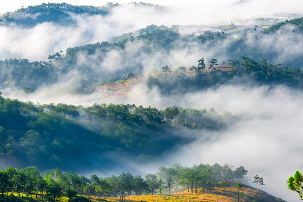 Săn Mây Ở Đà Lạt